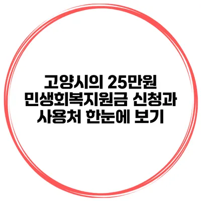 고양시의 25만원 민생회복지원금 신청과 사용처 한눈에 보기