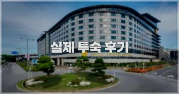 💬 실제 투숙 후기