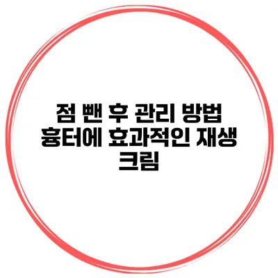 점 뺀 후 관리 방법 흉터에 효과적인 재생 크림
