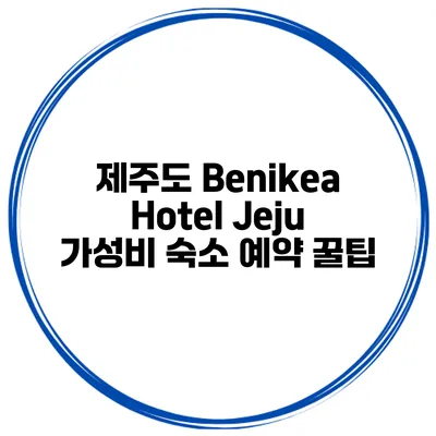 제주도 Benikea Hotel Jeju 가성비 숙소 예약 꿀팁