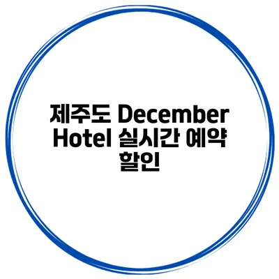 제주도 December Hotel 실시간 예약 할인