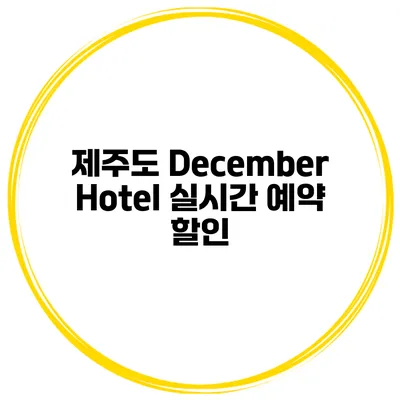 제주도 December Hotel 실시간 예약 할인