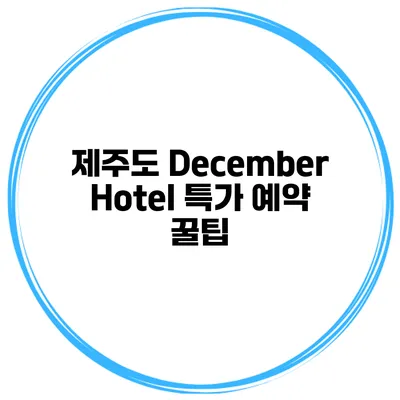 제주도 December Hotel 특가 예약 꿀팁