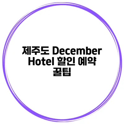 제주도 December Hotel 할인 예약 꿀팁