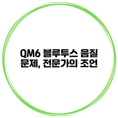 QM6 블루투스 음질 문제, 전문가의 조언