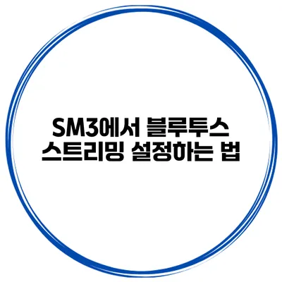 SM3에서 블루투스 스트리밍 설정하는 법