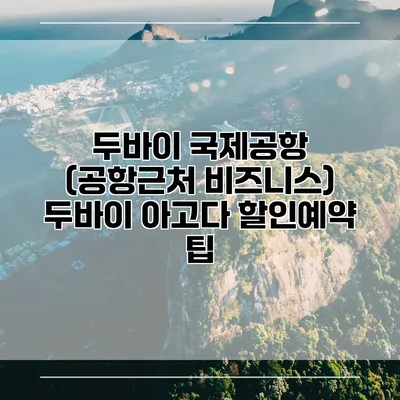 두바이 국제공항 (공항근처 비즈니스) 두바이 아고다 할인예약 팁