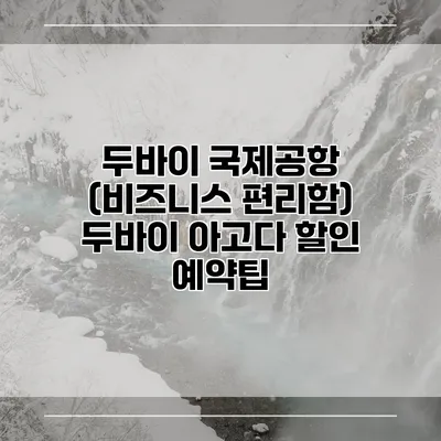 두바이 국제공항 (비즈니스 편리함) 두바이 아고다 할인 예약팁
