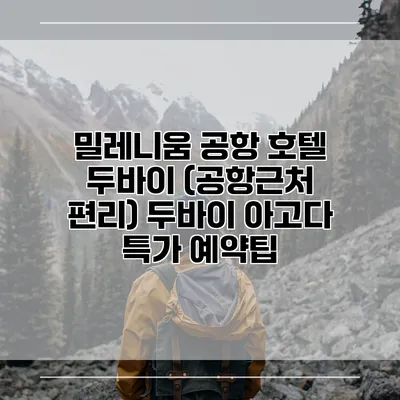 밀레니움 공항 호텔 두바이 (공항근처 편리) 두바이 아고다 특가 예약팁