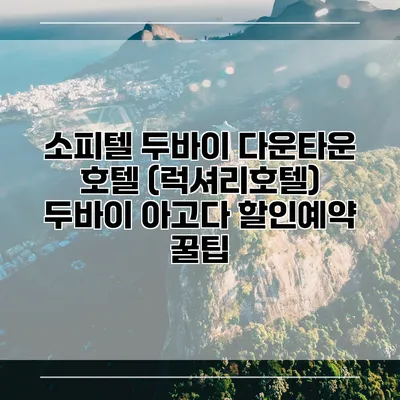 소피텔 두바이 다운타운 호텔 (럭셔리호텔) 두바이 아고다 할인예약 꿀팁