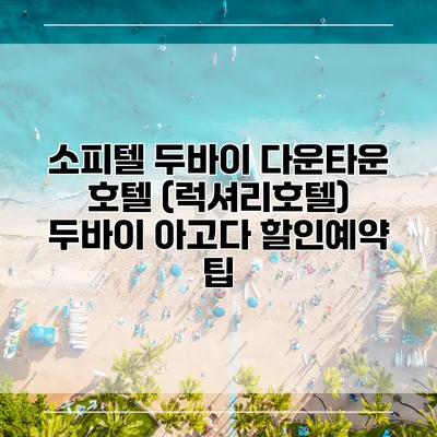 소피텔 두바이 다운타운 호텔 (럭셔리호텔) 두바이 아고다 할인예약 팁