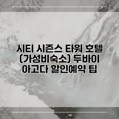 시티 시즌스 타워 호텔 (가성비숙소) 두바이 아고다 할인예약 팁