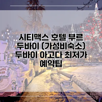 시티맥스 호텔 부르 두바이 (가성비숙소) 두바이 아고다 최저가 예약팁