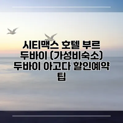 시티맥스 호텔 부르 두바이 (가성비숙소) 두바이 아고다 할인예약 팁