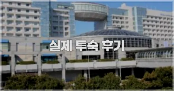 💬 실제 투숙 후기