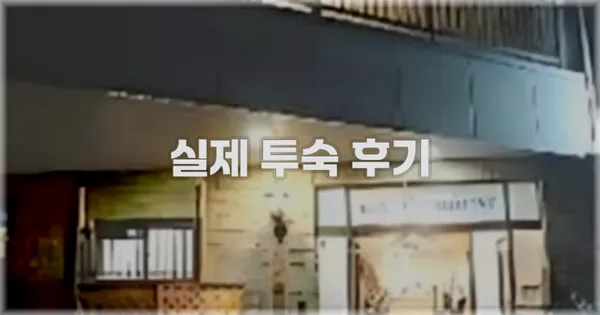 💬 실제 투숙 후기