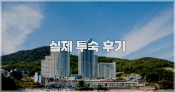💬 실제 투숙 후기