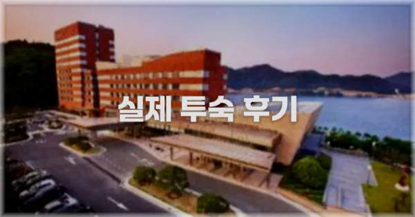 💬 실제 투숙 후기