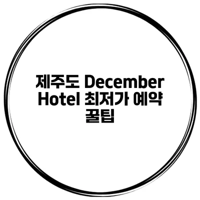 제주도 December Hotel 최저가 예약 꿀팁