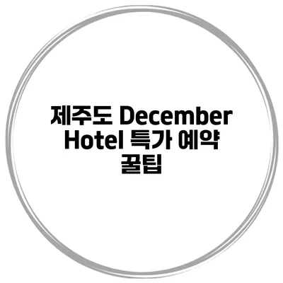 제주도 December Hotel 특가 예약 꿀팁