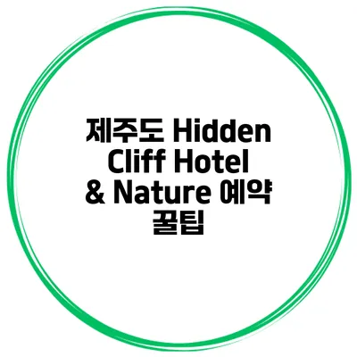 제주도 Hidden Cliff Hotel & Nature 예약 꿀팁