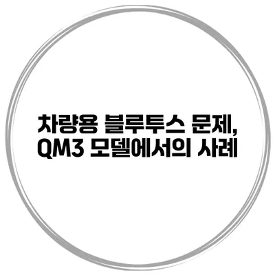 차량용 블루투스 문제, QM3 모델에서의 사례