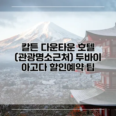 칼튼 다운타운 호텔 (관광명소근처) 두바이 아고다 할인예약 팁