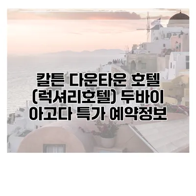 칼튼 다운타운 호텔 (럭셔리호텔) 두바이 아고다 특가 예약정보
