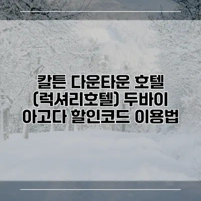 칼튼 다운타운 호텔 (럭셔리호텔) 두바이 아고다 할인코드 이용법