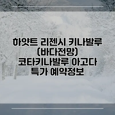 하얏트 리젠시 키나발루 (바다전망) 코타키나발루 아고다 특가 예약정보