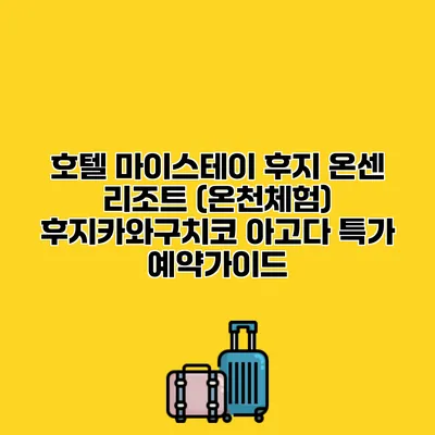 호텔 마이스테이 후지 온센 리조트 (온천체험) 후지카와구치코 아고다 특가 예약가이드