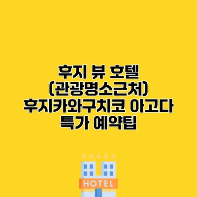 후지 뷰 호텔 (관광명소근처) 후지카와구치코 아고다 특가 예약팁